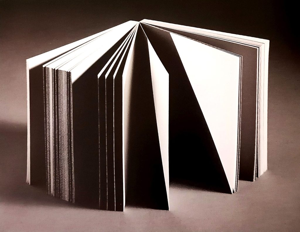 immagine per BOOKS 2024