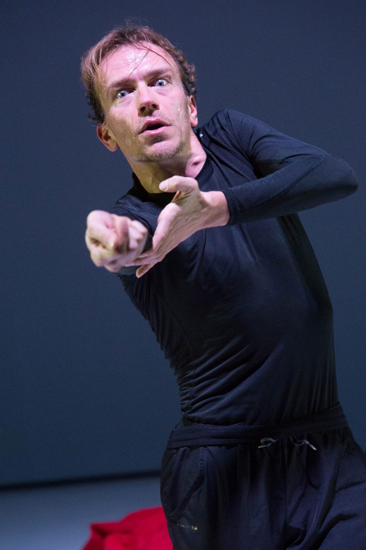 Una giornata fatale del danzatore Gregorio Samsa. Lorenzo Gleijeses immagine per Una giornata fatale del danzatore Gregorio Samsa. Lorenzo Gleijeses