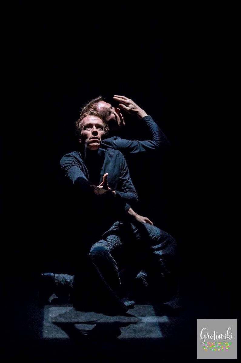 Una giornata fatale del danzatore Gregorio Samsa. Lorenzo Gleijeses immagine per Una giornata fatale del danzatore Gregorio Samsa. Lorenzo Gleijeses