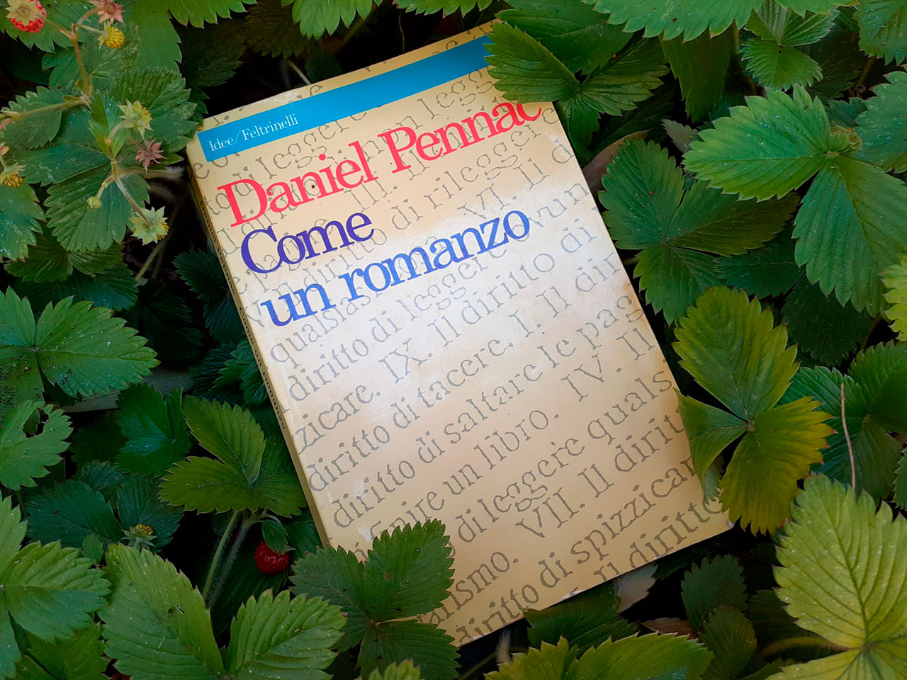 immagine per Come un romanzo. Il libero piacere di leggere secondo Daniel Pennac