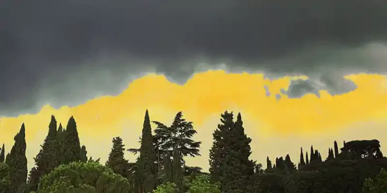 immagine per Katia Giuliani Nabulia