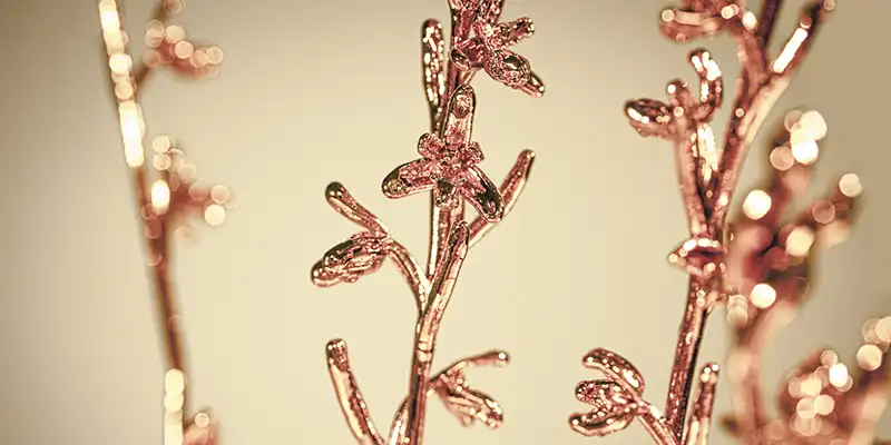 immagine per Silvia Cini Orto Botanico