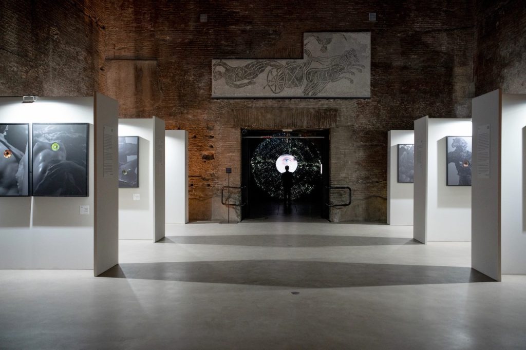 immagine per Mostra Collòculi - Aula XI Terme di Diocleziano Museo Nazionale Romano