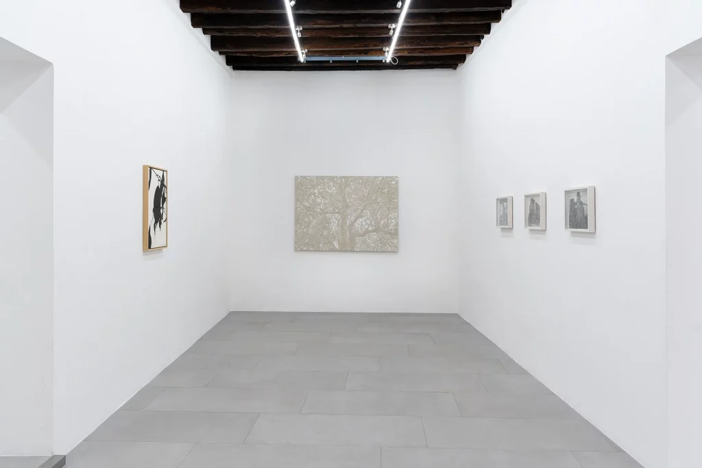 immagine per Meditabondi, barcamenanti, fuori registro e buchi bianchi, veduta della mostra, RizzutoGallery, Palermo, courtesy RizzutoGallery