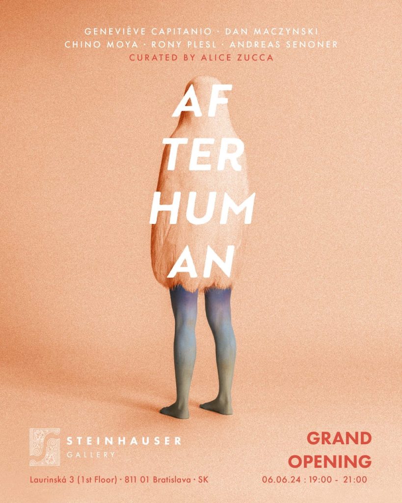 immagine per Steinhauser Gallery - AfterHuman