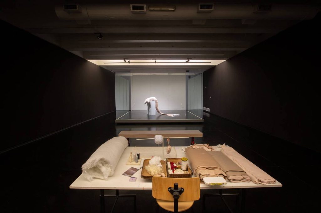 immagine per Chiara Valentini, Atelier 1 MACRO Roma, 2019 -ph. Giovanni De Angelis