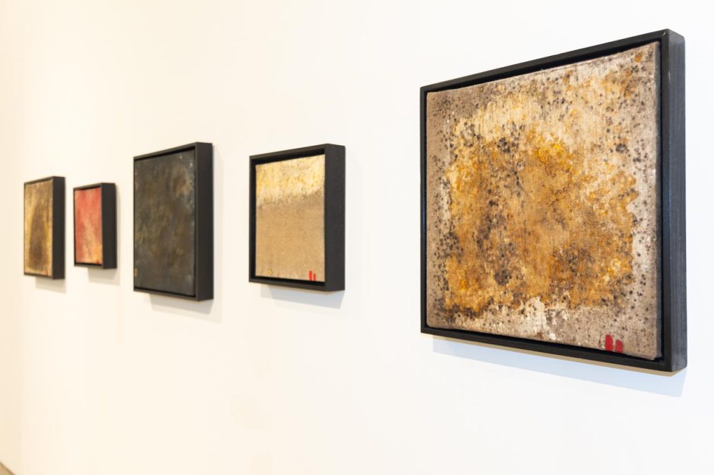 immagine per Genius Loci - TTOZOI. Museo Carlo Bilotti, credit Simone Piresti