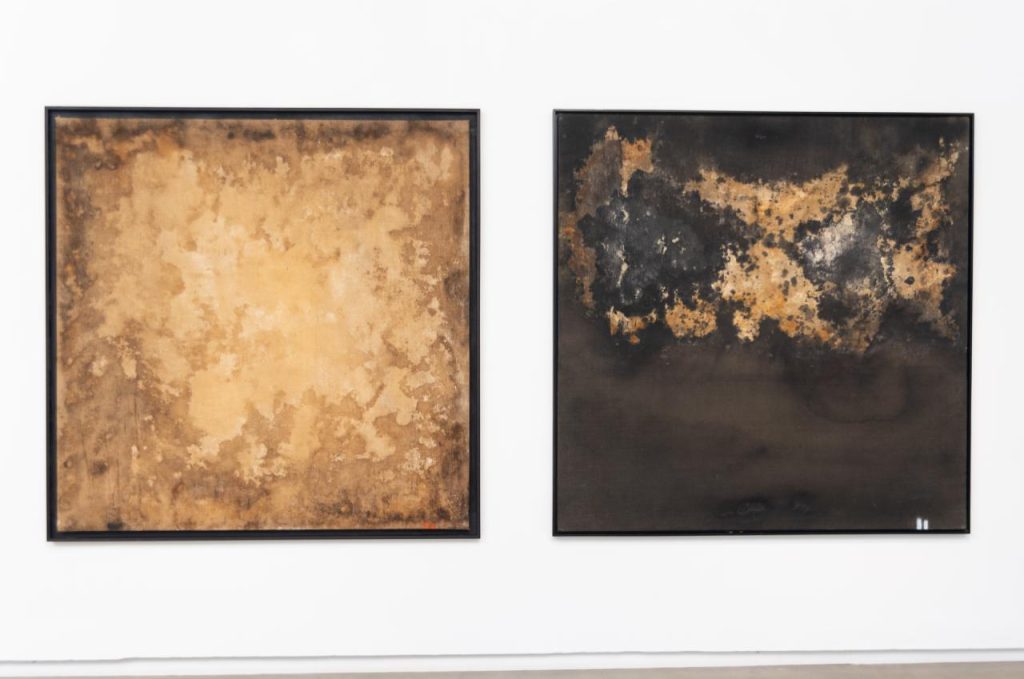 immagine per Genius Loci - TTOZOI. Museo Carlo Bilotti, credit Simone Piresti