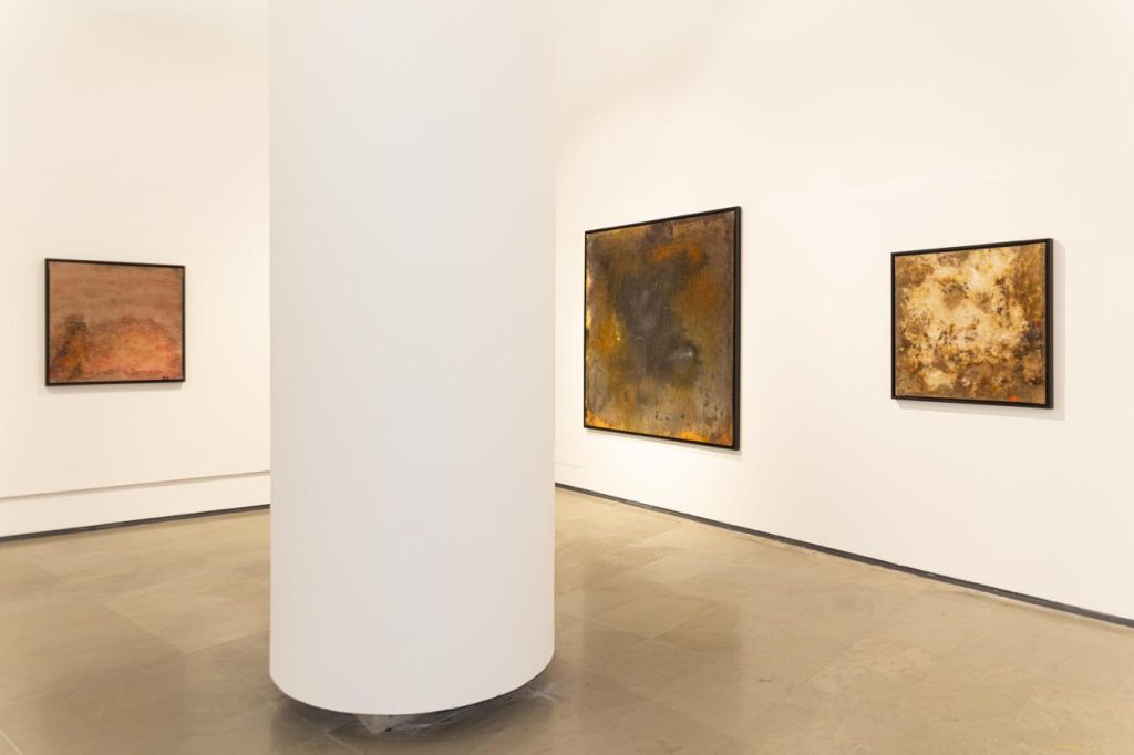 immagine per Genius Loci - TTOZOI. Museo Carlo Bilotti, credit Simone Piresti