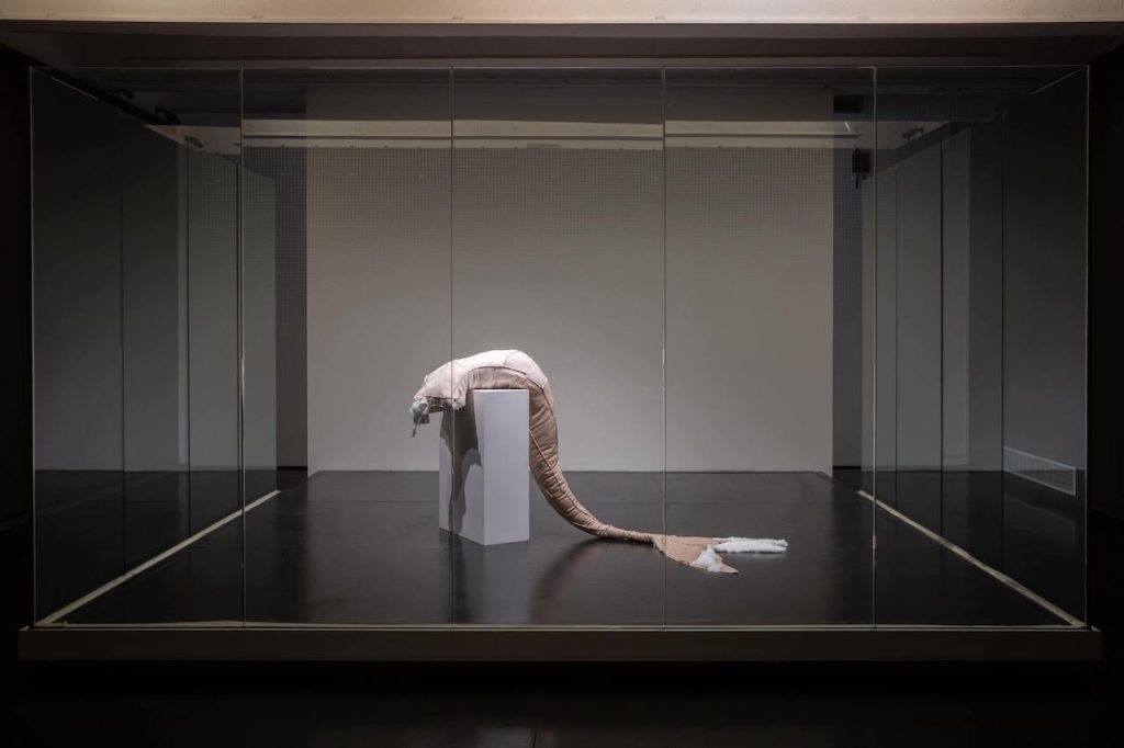 immagine per Il Silenzio, 2019 Ph credit Giovanni De Angelis
