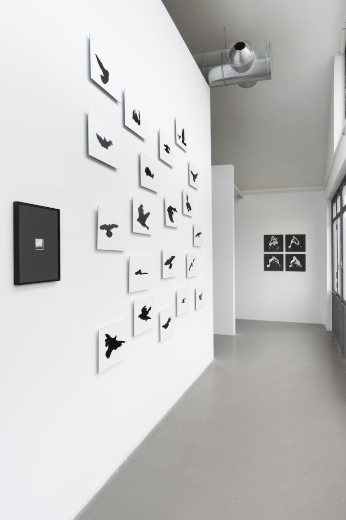 immagine per Nino Migliori. SETTANTA - M77Gallery. Ph. Lorenzo Palmieri