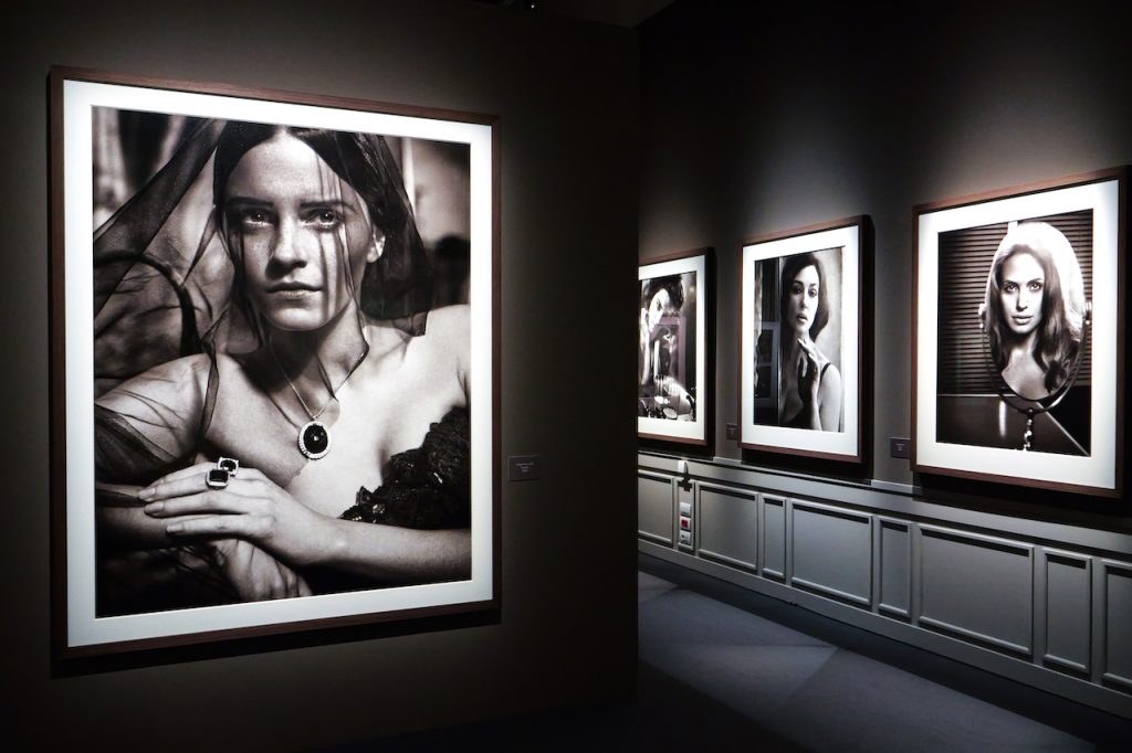 immagine per Vincent Peters - Timeless Time. Allestimento a Palazzo Bonaparte, Roma