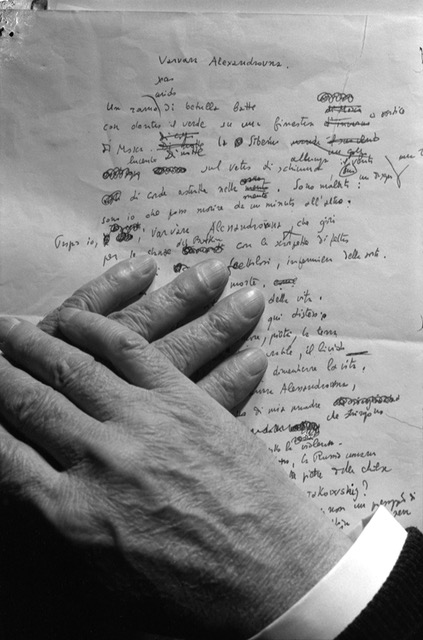 immagine per Solo che amore ti colpisca