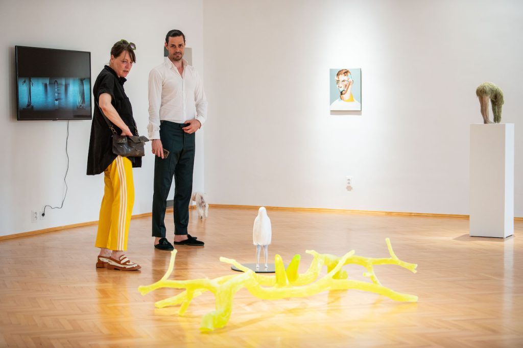 immagine per Steinhauser Gallery - AfterHuman