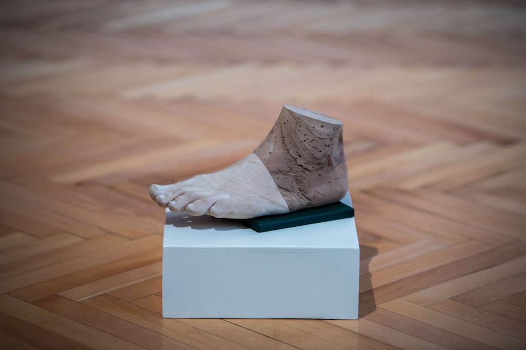 immagine per Steinhauser Gallery - AfterHuman