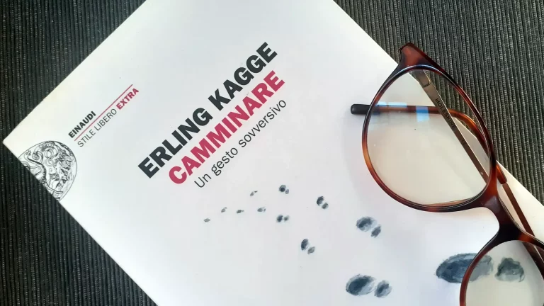 immagine per Camminare di Erling Kagge