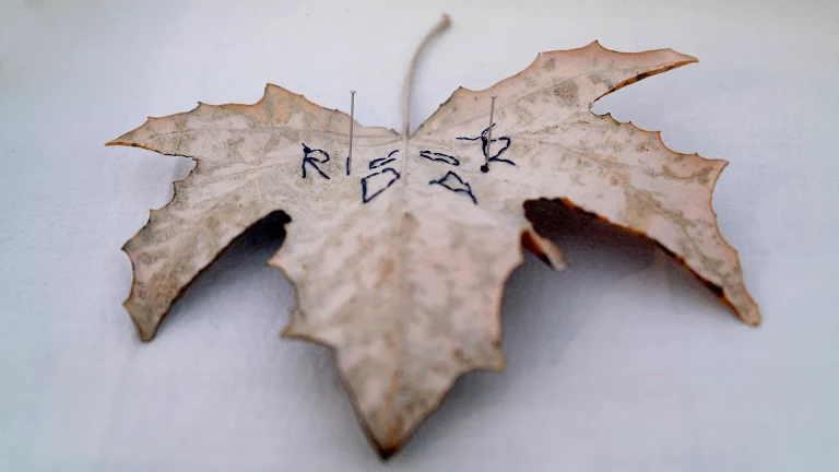 immagine per Chiara Valentini. Scolpire rammendando per rammentare le fragilità umane.