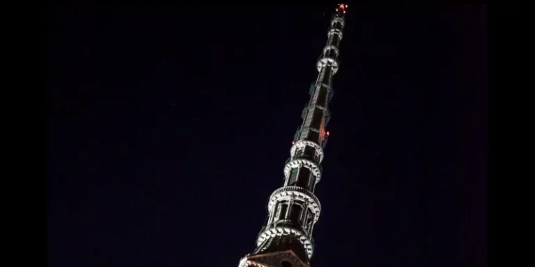 immagine per Il 27° Festival CinemAmbiente a Torino dal 4 al 9 giugno 2024