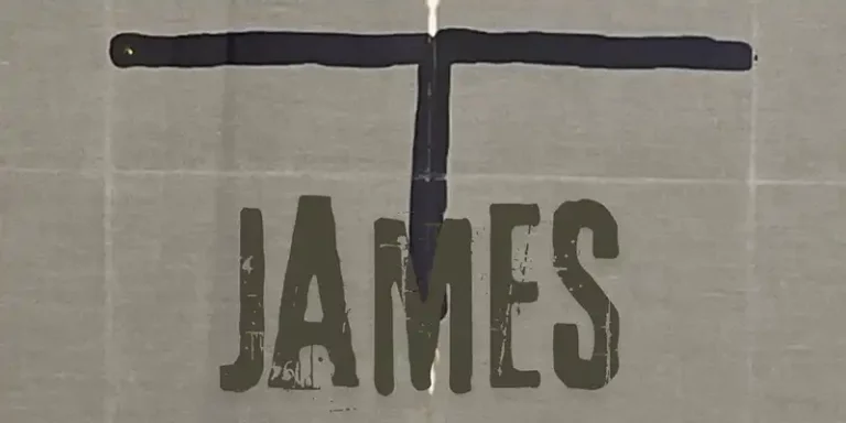 immagine per James Brown Alessandro Albanese