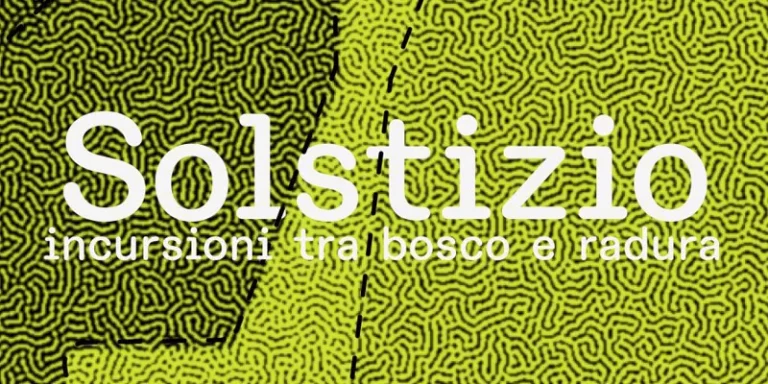 immagine per Solstizio. Incursioni tra bosco e radura