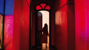 immagine per Suspiria e le arti visive, il cinema italiano di importanza sovralocale