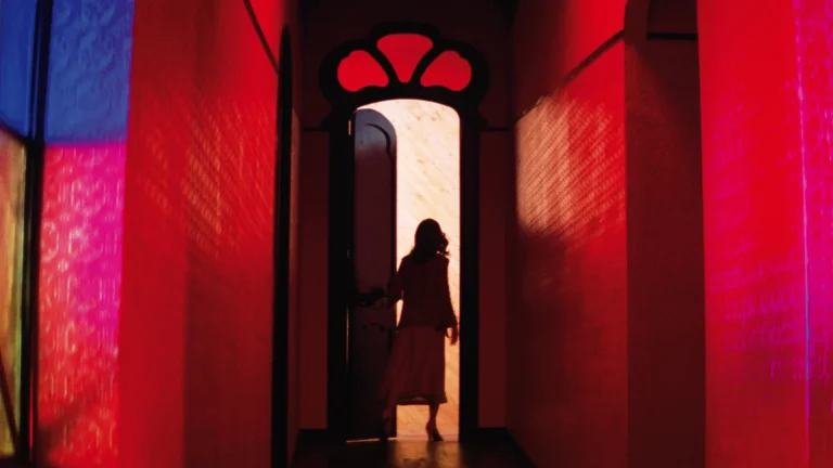immagine per Suspiria e le arti visive, il cinema italiano di importanza sovralocale