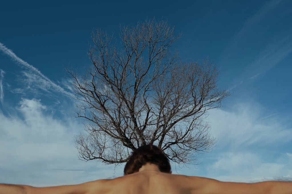 immagine per Federica Belli Mimesis 2024