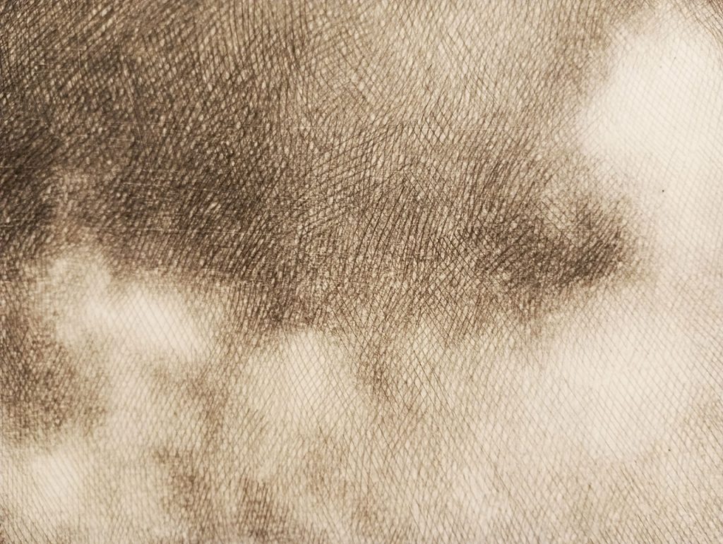 immagine per Elvio Chiricozzi - Ultima nuvola - matita su tela, dettaglio