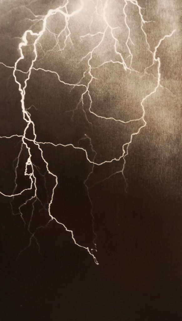 immagine per Elvio Chiricozzi, A7 - matita su legno