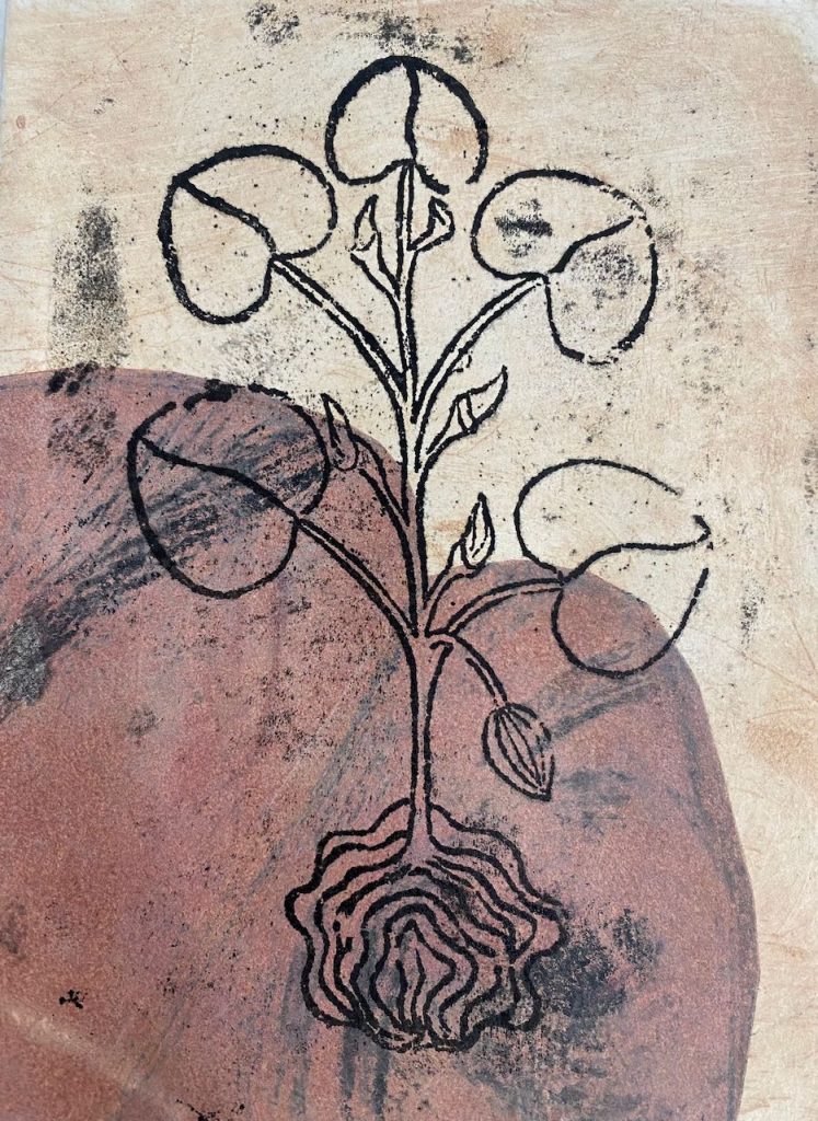 immagine per Maria Angeles Vila Herbario De Vida