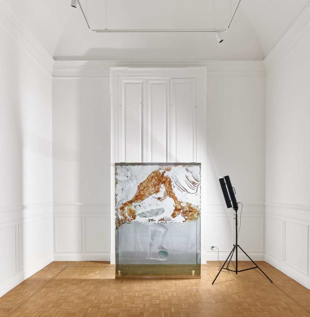 immagine per Credit: © Akram Zaatari. Courtesy the artist, Thomas Dane Gallery and Sfeir-Semler Gallery. Photo: M3Studio
