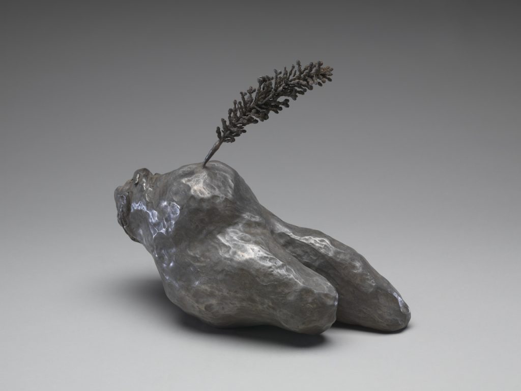 immagine per Louise Bourgeois
TOPIARY, 2006
Bronze, silver nitrate patina
22.2 x 23.5 x 10.2 cm Photo: Christopher Burke, © The Easton Foundation/Licensed by S.I.A.E., Italy and VAGA at Artists Rights Society (ARS), NY