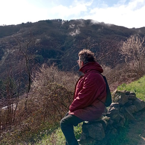 immagine per Conterranei