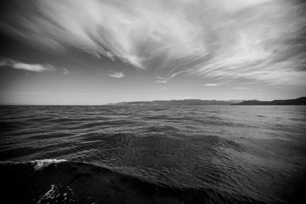 immagine per Mattanza | Mostra Fotografica di Giovanni De Angelis