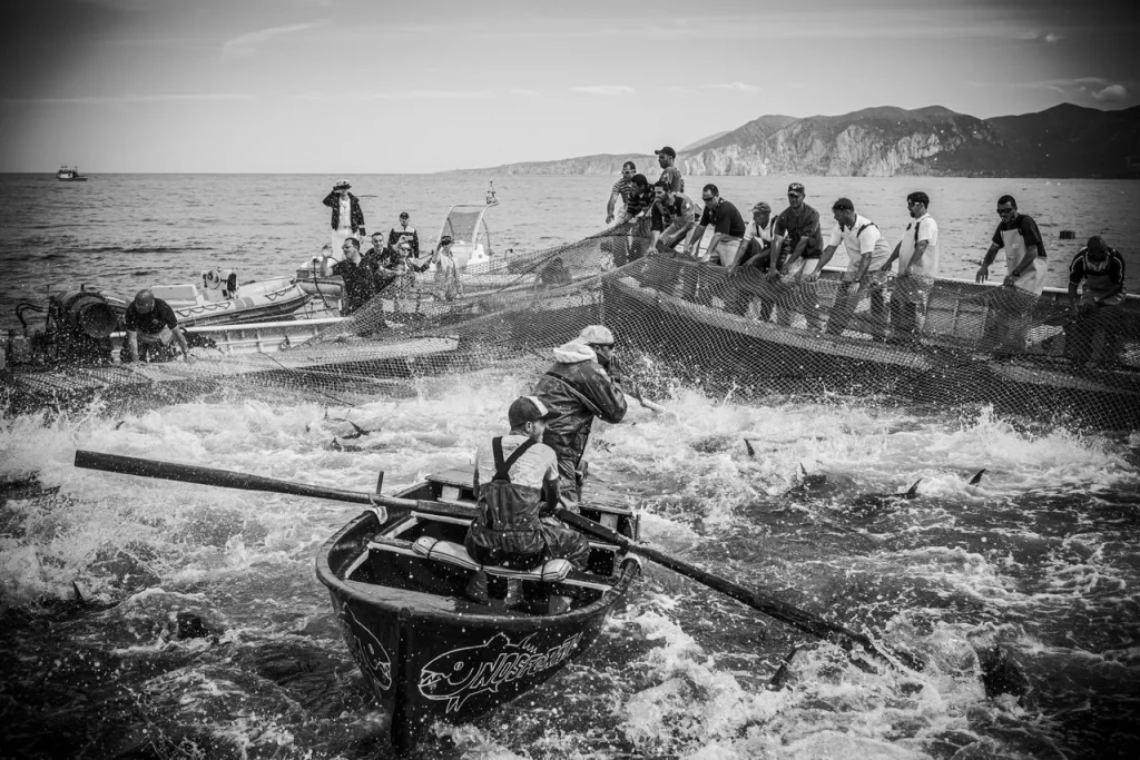 immagine per Mattanza | Mostra Fotografica di Giovanni De Angelis