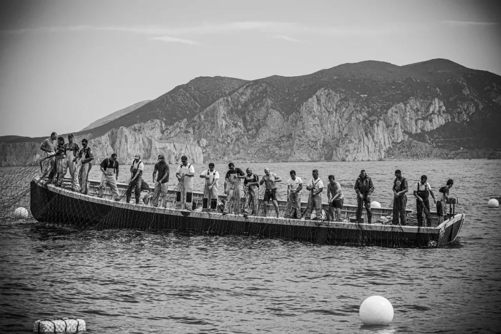 immagine per Mattanza | Mostra Fotografica di Giovanni De Angelis