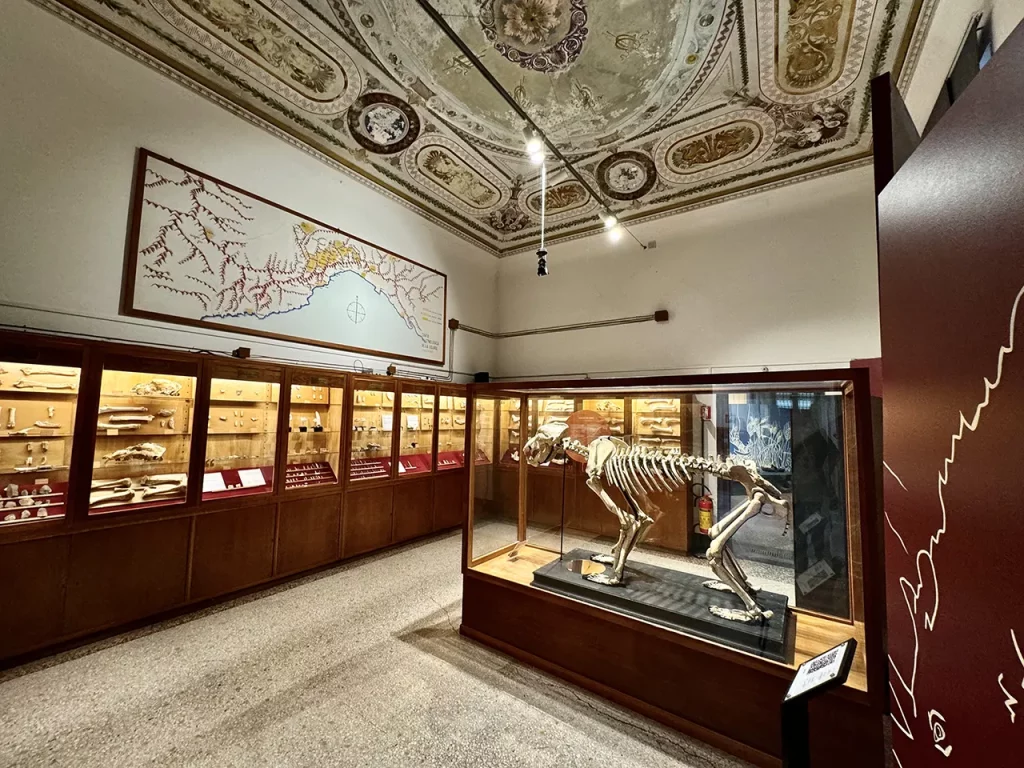 immagine per Museo di Archeologia Ligure, Villa Durazzo Pallavicini, Genova Credits: Roberto Civetta