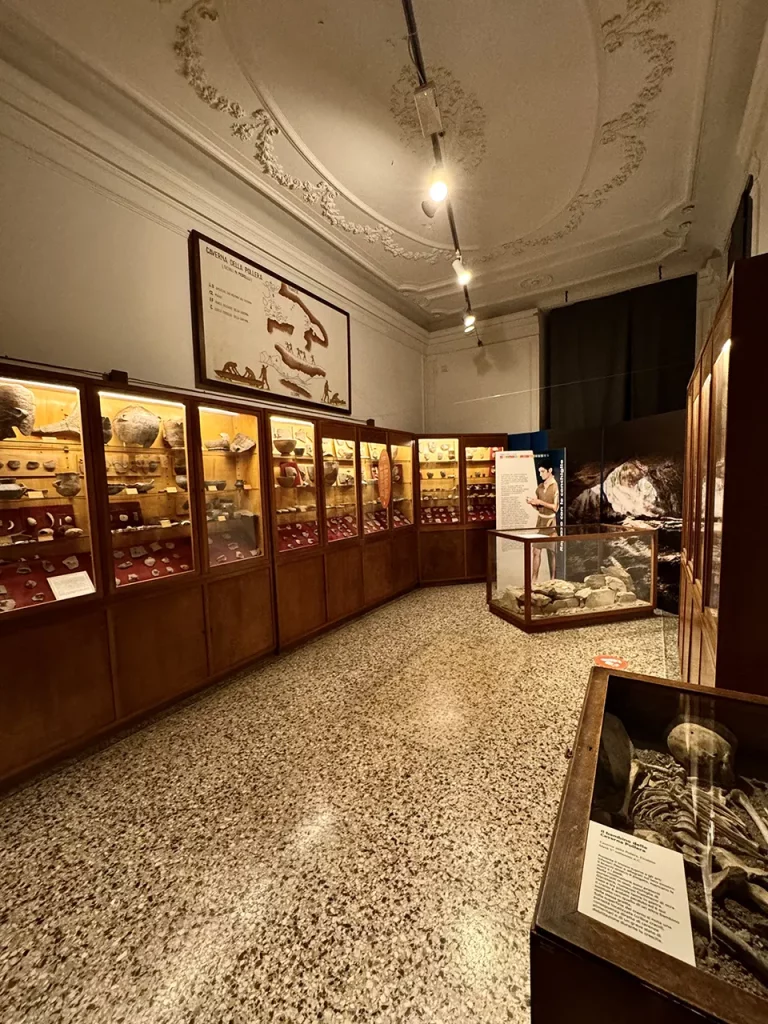 immagine per Museo di Archeologia Ligure, Villa Durazzo Pallavicini, Genova Credits: Roberto Civetta
