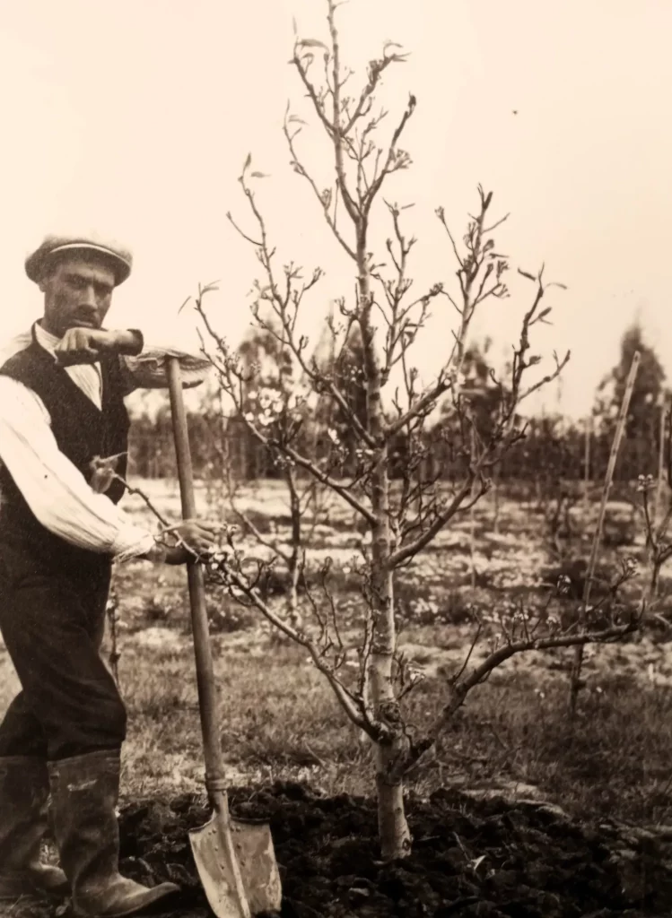immagine per 15. Contadino nei poderi di Arborea - foto Museo Bonifica