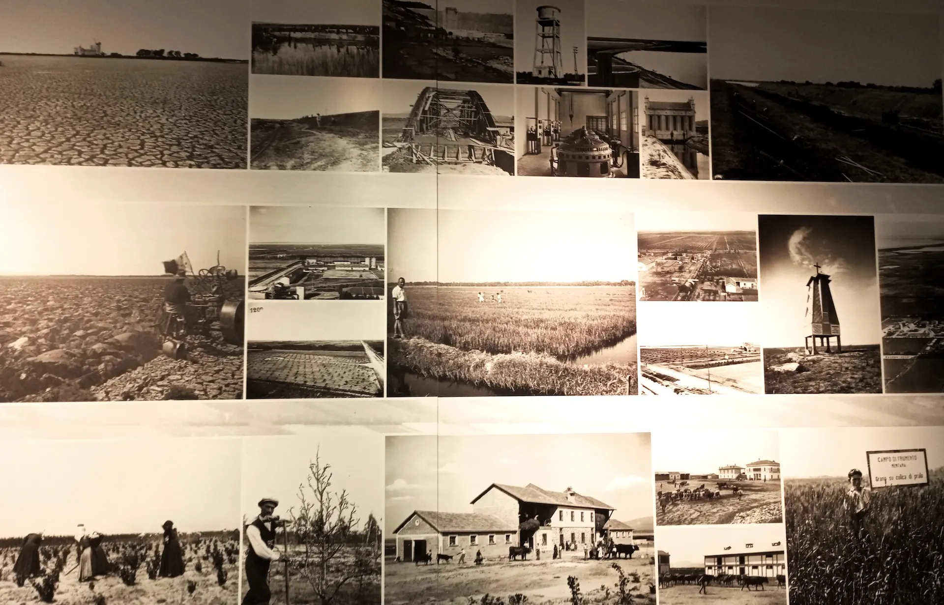 immagine per 16. Poderi di Arborea e mezzadri al lavoro - foto Museo