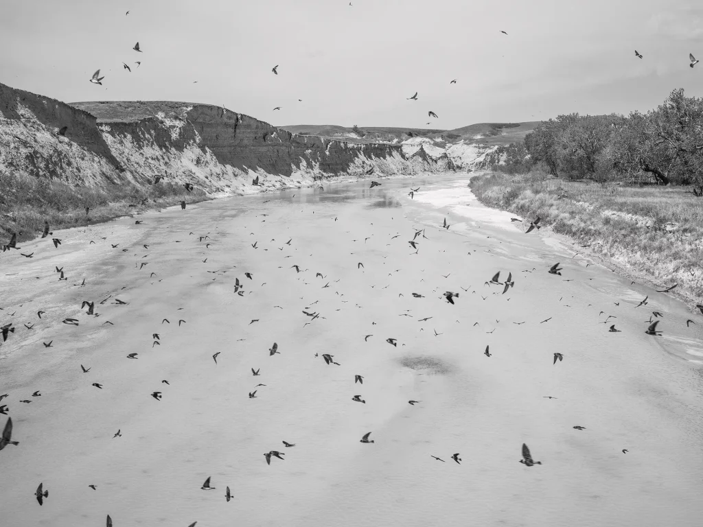immagine per Nicolas Floc'h, White River, Badlands, South Dakota, Rivers Ocean – Mississippi series, 2022. Courtesy of the artist.