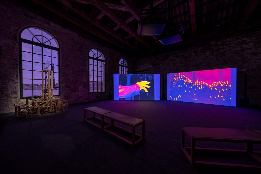 immagine per Pavilion of SINGAPORE - Seeing Forest. 60th International Art Exhibition - La Biennale di Venezia. Photo by: Andrea Avezzù. Courtesy: La Biennale di Venezia