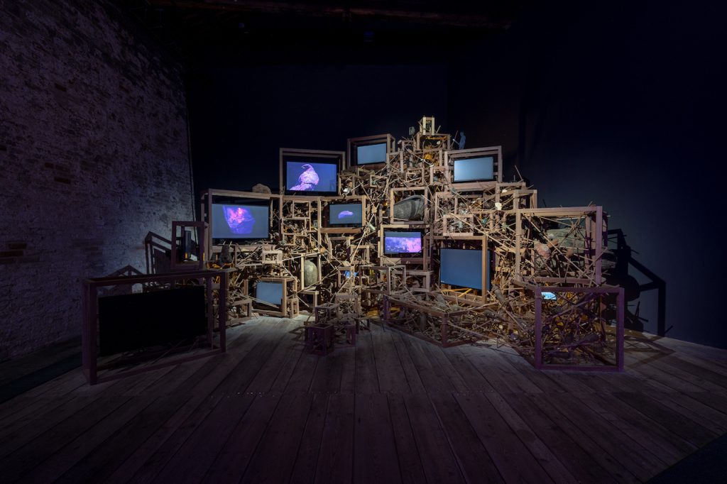 immagine per Pavilion of SINGAPORE - Seeing Forest. 60th International Art Exhibition - La Biennale di Venezia. Photo by: Andrea Avezzù. Courtesy: La Biennale di Venezia