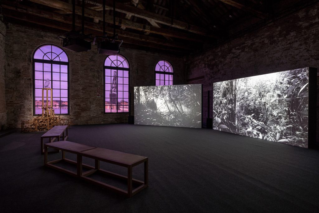 immagine per Pavilion of SINGAPORE - Seeing Forest. 60th International Art Exhibition - La Biennale di Venezia. Photo by: Andrea Avezzù. Courtesy: La Biennale di Venezia
