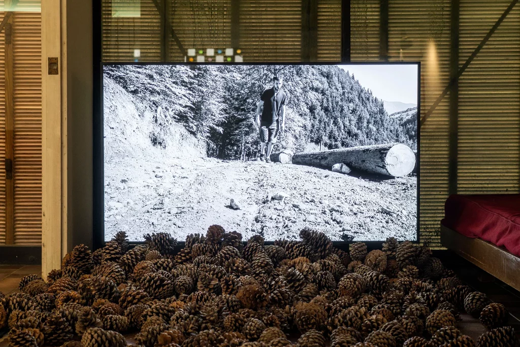 immagine per Casa Gomis. No shelter from the storm, 2015 © Anca Benera & Arnold Estefan. Photo © Manifesta 15 Barcelona Metropolitana, Helena Roig