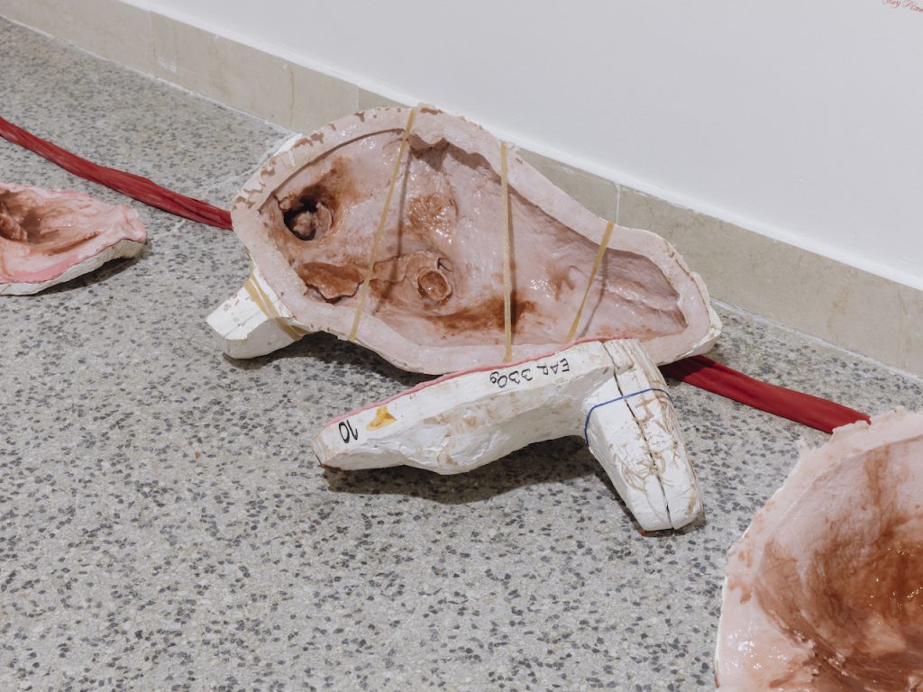 immagine per Pavilion of CZECH (REPUBLIC) - The heart of a giraffe in captivity is twelve kilos lighter. 60th International Art Exhibition - La Biennale di Venezia. Photo by: Matteo de Mayda. Courtesy: La Biennale di Venezia