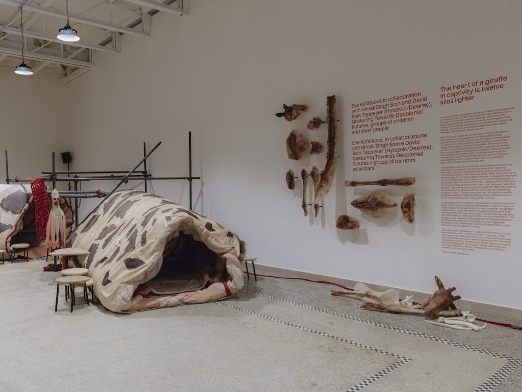 immagine per Pavilion of CZECH (REPUBLIC) - The heart of a giraffe in captivity is twelve kilos lighter. 60th International Art Exhibition - La Biennale di Venezia. Photo by: Matteo de Mayda. Courtesy: La Biennale di Venezia