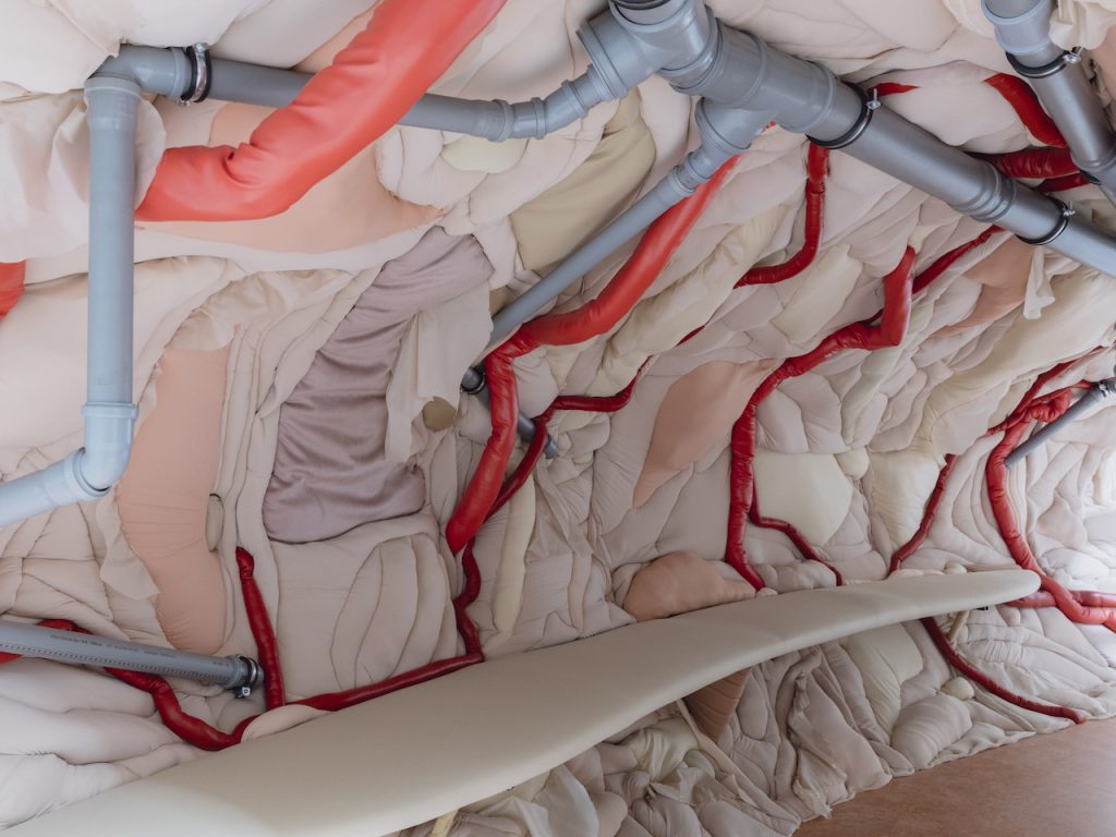 immagine per Pavilion of CZECH (REPUBLIC) - The heart of a giraffe in captivity is twelve kilos lighter. 60th International Art Exhibition - La Biennale di Venezia. Photo by: Matteo de Mayda. Courtesy: La Biennale di Venezia