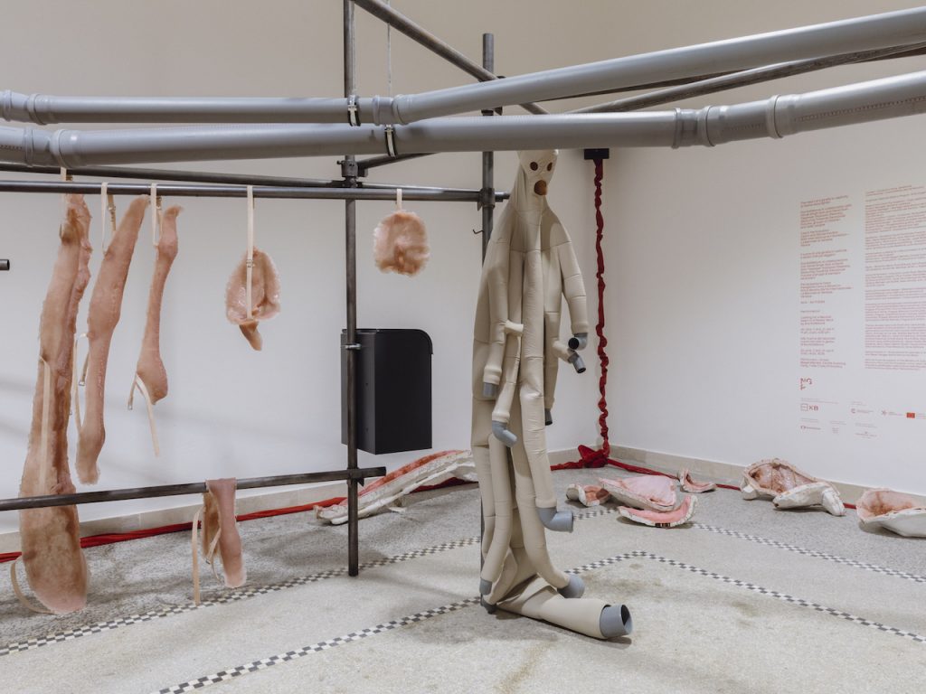 immagine per Pavilion of CZECH (REPUBLIC) - The heart of a giraffe in captivity is twelve kilos lighter. 60th International Art Exhibition - La Biennale di Venezia. Photo by: Matteo de Mayda. Courtesy: La Biennale di Venezia