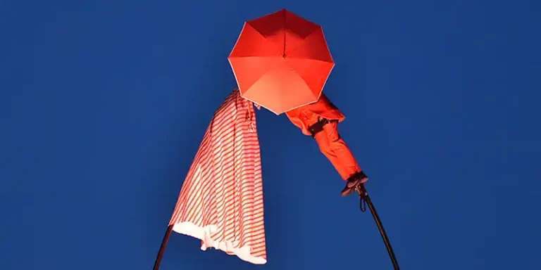 immagine per Clown&Clown Festival